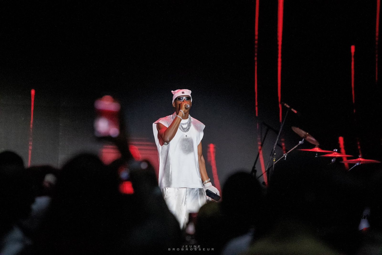 concert davido   pard des expositions